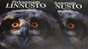 Yle Uutiset Pirkanmaa: Pirkanmaan lintutieto yksissä kansissa: 08.03.2016 17.20