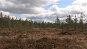 Yle Uutiset Keski-Suomi: Yle Uutiset Keski-Suomi 09-03-2016 Klo 17-06: 09.03.2016 16.51