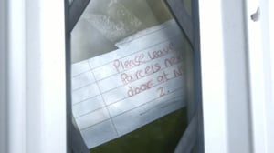 VICE: The Story of Maisie: 22.03.2016 10.15