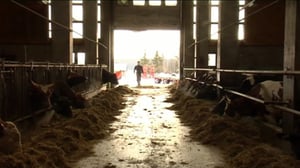 Yle Uutiset Itä-Suomi: Yle Uutiset Itä-Suomi 10-03-2016 Klo 17-06: 10.03.2016 16.48