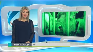 Yle Uutiset Itä-Suomi: Yle Uutiset Itä-Suomi 10-03-2016 Klo 18-22: 10.03.2016 17.55