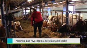 Yle Uutiset Lappi: Yle Uutiset Lappi 10-03-2016 Klo 18-22: 10.03.2016 18.46