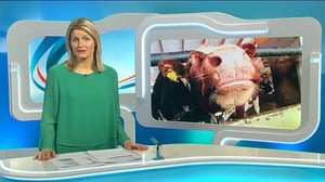 Yle Uutiset Pohjois-Suomi: Yle Uutiset Pohjois-Suomi 11-03-2016 Klo 18-22: 11.03.2016 18.13
