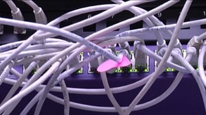 Yle Uutiset Pohjanmaa: Yle Uutiset Pohjanmaa 14-03-2016 Klo 17-06: 14.03.2016 16.40