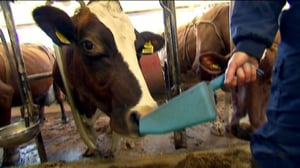 Yle Uutiset Keski-Suomi: Yle Uutiset Keski-Suomi 15-03-2016 Klo 17-06: 15.03.2016 16.59