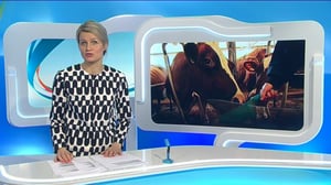 Yle Uutiset Keski-Suomi: Yle Uutiset Keski-Suomi 15-03-2016 Klo 18-22: 15.03.2016 18.04