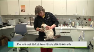 Yle Uutiset Pohjanmaa: Yle Uutiset Pohjanmaa 16-03-2016 Klo 18-22: 16.03.2016 17.52