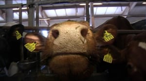 Yle Uutiset Pohjois-Suomi: Yle Uutiset Pohjois-Suomi 23-03-2016 Klo 17-06: 23.03.2016 16.38