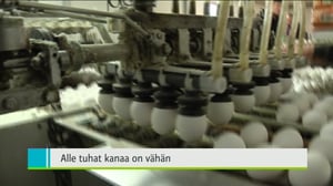 Yle Uutiset Pohjanmaa: Yle Uutiset Pohjanmaa 23-03-2016 Klo 18-22: 23.03.2016 18.02