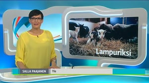 Yle Uutiset Itä-Suomi: Yle Uutiset Itä-Suomi 24-03-2016 Klo 18-22: 24.03.2016 17.47