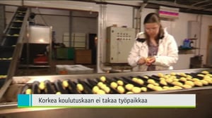 Yle Uutiset Kaakkois-Suomi: Yle Uutiset Kaakkois-Suomi 31-03-2016 Klo 18-22: 31.03.2016 17.35