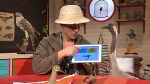 BUU-klubben hälsar: Veckans fråga v.14: 04.04.2016 07.00