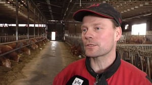 Yle Uutiset Itä-Suomi: Yle Uutiset Itä-Suomi 07-04-2016 Klo 18-22: 07.04.2016 18.09