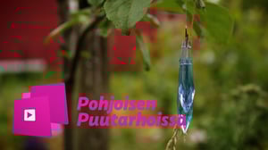 Pohjoisen puutarhoissa: Permapihalla tuholaiset ja rikkaruohot ovat tarhurin ystäviä: 08.04.2016 16.15