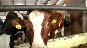 Yle Uutiset Keski-Suomi: Yle Uutiset Keski-Suomi 12-04-2016 Klo 17-06: 12.04.2016 16.58