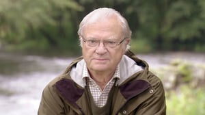 Kaarle XVI Kustaa, yksinäinen kuningas: 30.04.2016 15.45