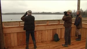 Yle Uutiset Häme: Yle Uutiset Häme 20-04-2016 klo 17-06: 20.04.2016 16.28