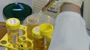 Spotlight: Myrkky jonka piti olla vaaraton: 09.05.2016 20.00