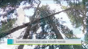 Yle Uutiset Pohjanmaa: Yle Uutiset Pohjanmaa 22-04-2016 Klo 18-22: 22.04.2016 17.52