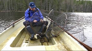 YLE Lahti: Radioaktiivinen sade ropisi tyttären ketunleipiin – Hannu muistaa Tšhernobylin onnettomuuden loppuikänsä: 26.04.2016 16.54