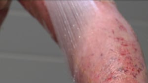 Yle Uutiset Uusimaa: Yle Uutiset Uusimaa 26-04-2016 klo 17-06: 26.04.2016 17.29