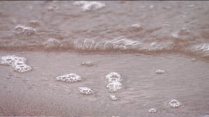 Yle Uutisluokka Triplet: Puhtaimmat mökkivedet Keski-Suomessa ja Savossa (S): 02.05.2016 09.01