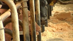 Yle Uutiset Itä-Suomi: Yle Uutiset Itä-Suomi 03-05-2016 Klo 17-06: 03.05.2016 16.44