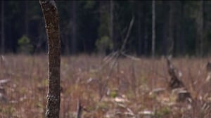 Yle Uutiset Keski-Suomi: Yle Uutiset Keski-Suomi 10-05-2016 Klo 17-06: 10.05.2016 16.34