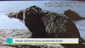 Yle Uutiset Kaakkois-Suomi: Yle Uutiset Kaakkois-Suomi 10-05-2016 Klo 18-22: 10.05.2016 17.55