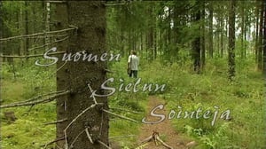 Suomen sielun sointeja: 15.12.2015 17.00