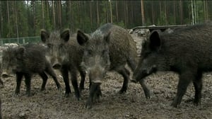 Erätulilla: 04.11.2015 13.30