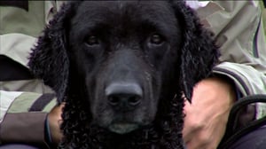 Erätulilla: 06.11.2015 13.20