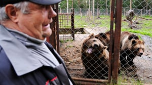 Tosi tarina: Tarinoita karhunkolosta: 30.12.2015 20.00