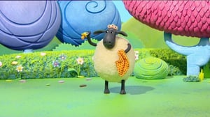 Timppa (S): 01.02.2016 18.00