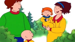 Kaapo (S): 12.02.2016 07.51