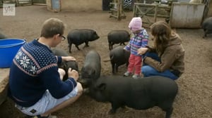 Eläimellistä menoa Norjassa: 28.05.2016 18.30