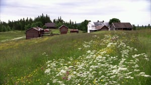 Tiettömän taipaleen takana: 06.07.2016 12.55