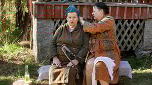 Kotikatsomo: Mökki (S): 03.07.2016 21.05