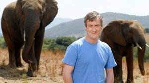 Viidakkoperhe (7): 30.12.2016 17.10