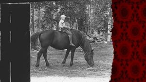 Arkistosta revittyä: Hevonen: 10.06.2016 18.30