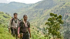 Niilin seikkailija: 01.01.2017 21.10