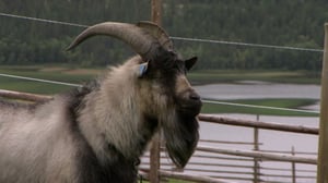 Tiettömän taipaleen takana: 08.07.2016 12.25