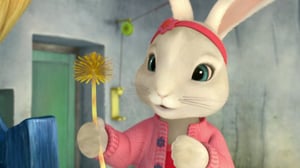 Petteri Kaniini (S): 12.11.2016 08.46