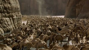 Afrikan luonnon helmiä: 27.12.2016 09.55