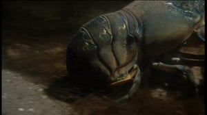 Erikoiset merenelävät: 24.11.2016 14.55