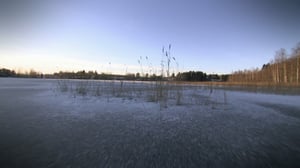 Pisara: 24.12.2016 15.10