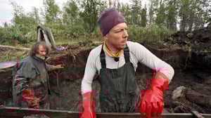 Peltsin Lappi: Kulta: 05.11.2016 00.01