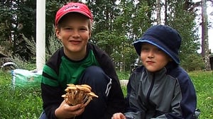 Sienikoulu: Mesisieni ja mesisienispagetti: 15.08.2016 09.00