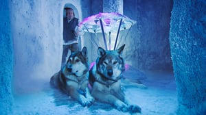 Joulukalenteri: Jäätävä seikkailu (S): 15.12.2016 06.00