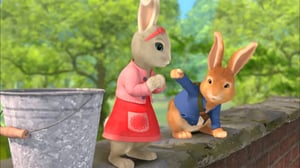 Petteri Kaniini (S): 25.06.2016 08.47